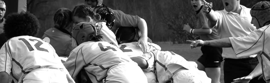 免费ddos攻击网页端